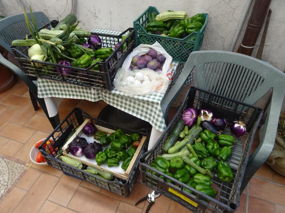 康蒂利亚诺La Bottega Del Fabbro Affitto Breve别墅 外观 照片
